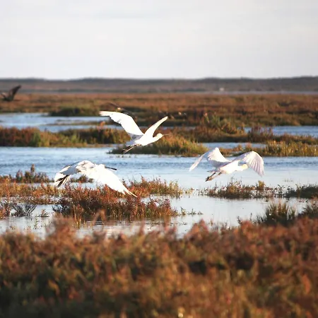 Vale Do Garrao المانسيل